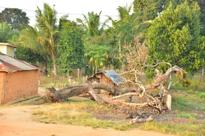 DSC_4292 (Large).JPG